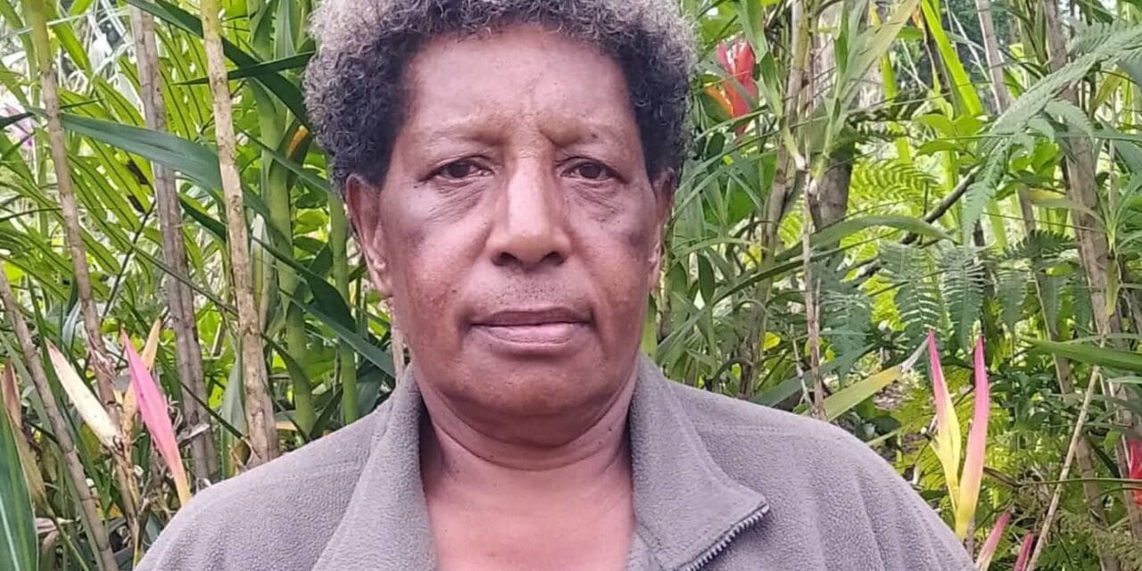 The  Crown of a Woman in Nation Building: Elizabeth Holeong