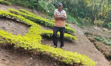Wama Philip builds Villa cultural centre to preserve history, revive highlands tourism:calls for support