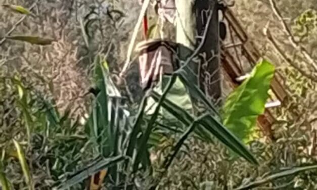 Power restored back to Kulgmumb and three other Mount Hagen communities after eight months